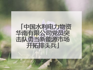 中国水利电力物资华南有限公司党员突击队勇当新能源市场开拓排头兵
