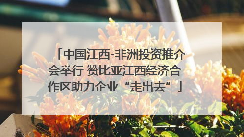 中国江西-非洲投资推介会举行 赞比亚江西经济合作区助力企业“走出去”