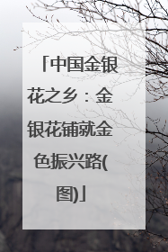 中国金银花之乡：金银花铺就金色振兴路(图)