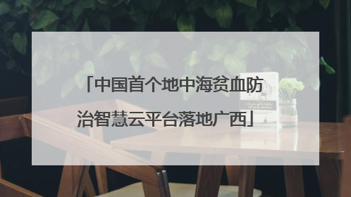 中国首个地中海贫血防治智慧云平台落地广西