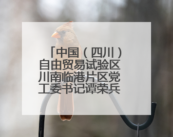 中国（四川）自由贸易试验区川南临港片区党工委书记谭荣兵一行赴岳阳城陵矶综保区考察