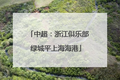 中超：浙江俱乐部绿城平上海海港