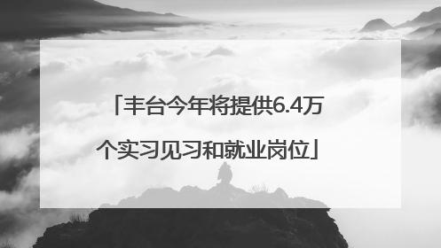 丰台今年将提供6.4万个实习见习和就业岗位