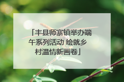 丰县师寨镇举办端午系列活动 绘就乡村温情新画卷