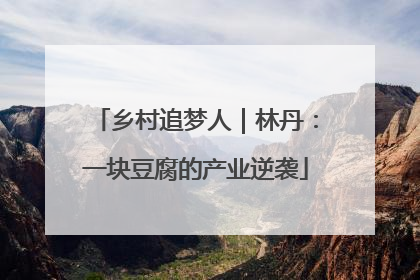 乡村追梦人｜林丹：一块豆腐的产业逆袭