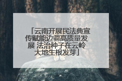 云南开展民法典宣传赋能边疆高质量发展 法治种子在云岭大地生根发芽