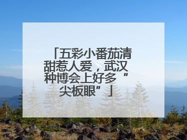 五彩小番茄清甜惹人爱，武汉种博会上好多“尖板眼”