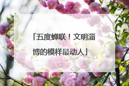 五度蝉联！文明淄博的模样最动人