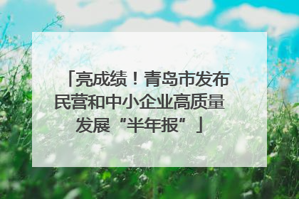 亮成绩！青岛市发布民营和中小企业高质量发展“半年报”