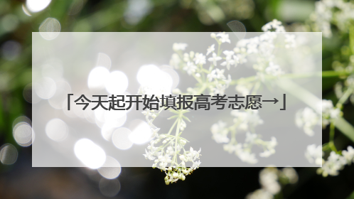 今天起开始填报高考志愿→