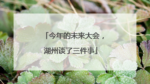 今年的未来大会，湖州谈了三件事