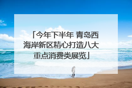 今年下半年 青岛西海岸新区精心打造八大重点消费类展览