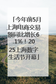 今年前5月上海电商交易额同比增长6.1%！2025上海数字生活节开幕