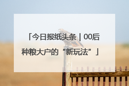 今日报纸头条｜00后种粮大户的“新玩法”