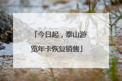 今日起，泰山游览年卡恢复销售