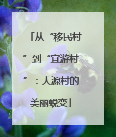 从“移民村”到“宜游村”：大源村的美丽蜕变