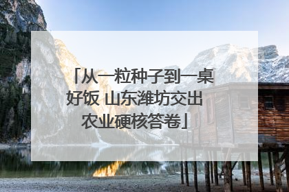 从一粒种子到一桌好饭 山东潍坊交出农业硬核答卷