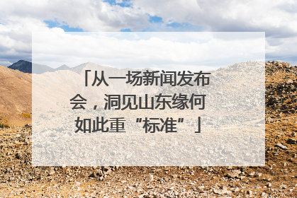 从一场新闻发布会，洞见山东缘何如此重“标准”