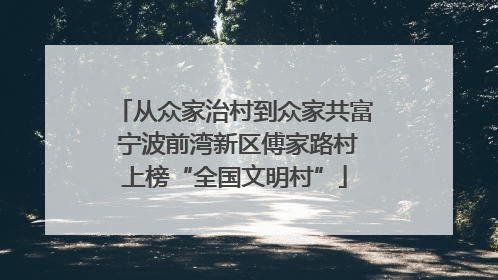 从众家治村到众家共富 宁波前湾新区傅家路村上榜“全国文明村”