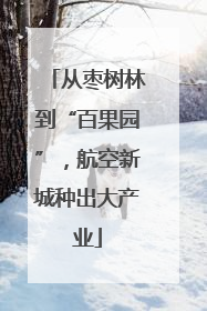 从枣树林到“百果园”，航空新城种出大产业