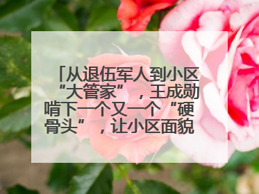 从退伍军人到小区“大管家”，王成勋啃下一个又一个“硬骨头”，让小区面貌焕然一新