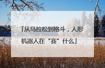 从马拉松到格斗，人形机器人在“赛”什么