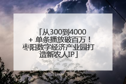 从300到4000+ 单条播放破百万！枣阳数字经济产业园打造新农人IP
