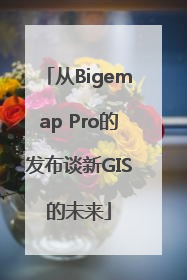 从Bigemap Pro的发布谈新GIS的未来