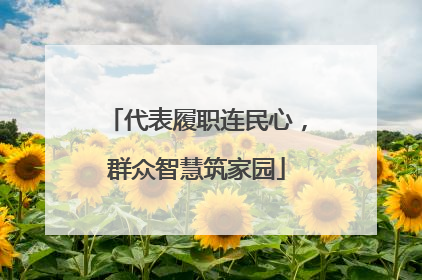 代表履职连民心，群众智慧筑家园