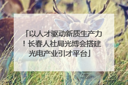 以人才驱动新质生产力！长春人社局光博会搭建光电产业引才平台