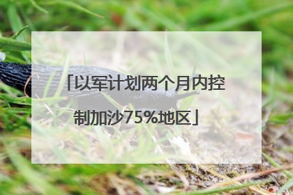 以军计划两个月内控制加沙75%地区