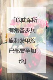 以陆军所有常备步兵旅和装甲旅已部署至加沙
