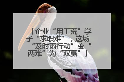 企业“用工荒”学子“求职难”，这场“及时雨行动”变“两难”为“双赢”