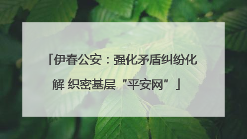 伊春公安：强化矛盾纠纷化解 织密基层“平安网”