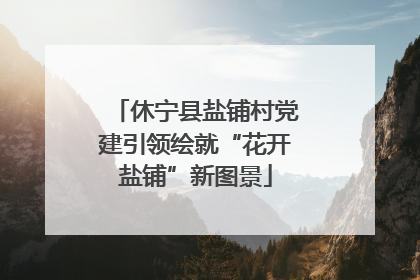 休宁县盐铺村党建引领绘就“花开盐铺”新图景