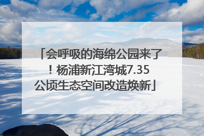 会呼吸的海绵公园来了！杨浦新江湾城7.35公顷生态空间改造焕新