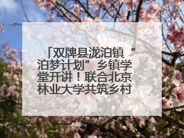 双牌县泷泊镇“泊梦计划”乡镇学堂开讲！联合北京林业大学共筑乡村教育新未来