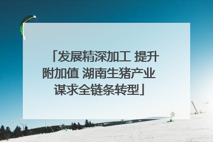 发展精深加工 提升附加值 湖南生猪产业谋求全链条转型