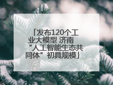 发布120个工业大模型 济南 “人工智能生态共同体”初具规模