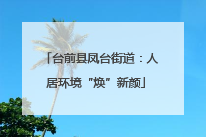 台前县凤台街道：人居环境“焕”新颜