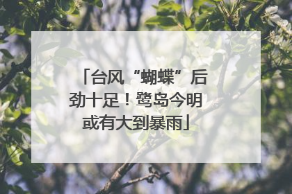 台风“蝴蝶”后劲十足！鹭岛今明或有大到暴雨