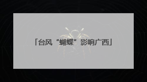 台风“蝴蝶”影响广西