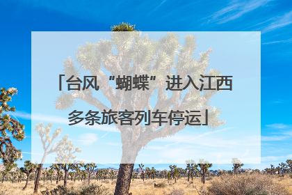 台风“蝴蝶”进入江西 多条旅客列车停运