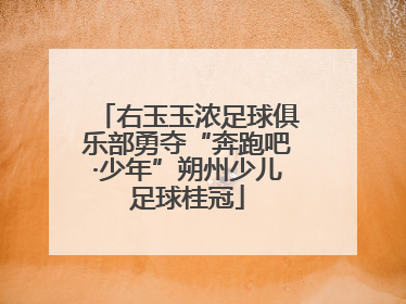 右玉玉浓足球俱乐部勇夺“奔跑吧·少年”朔州少儿足球桂冠