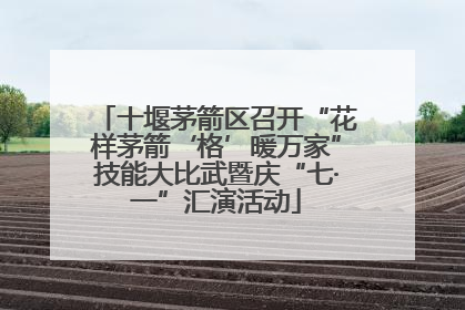 十堰茅箭区召开“花样茅箭‘格’暖万家”技能大比武暨庆“七·一”汇演活动