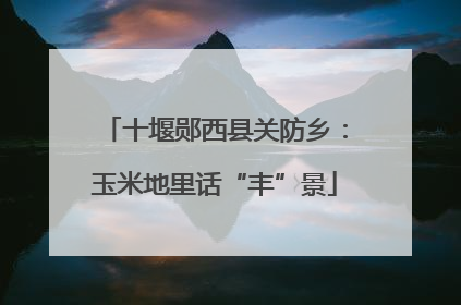 十堰郧西县关防乡：玉米地里话“丰”景