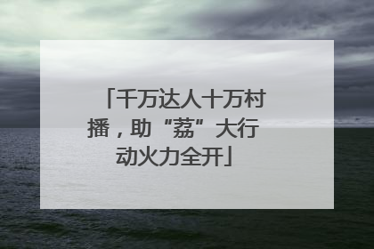 千万达人十万村播，助“荔”大行动火力全开