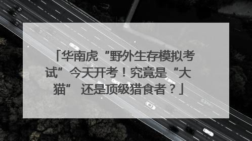 华南虎“野外生存模拟考试”今天开考！究竟是“大猫” 还是顶级猎食者？