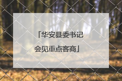 华安县委书记会见重点客商