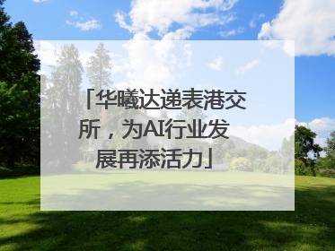 华曦达递表港交所，为AI行业发展再添活力